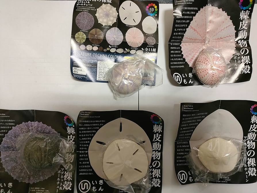 Amazon.co.jp: ネイチャーテクニカラー 棘皮動物の裸殼